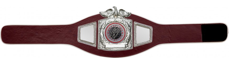 PROEAGLE WRESTLING CHAMPIONSHIP BELT - PROEAGLE/S/WRESTGEMS - 6+ COLOURS